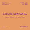 Carlos Guamanga (WS)