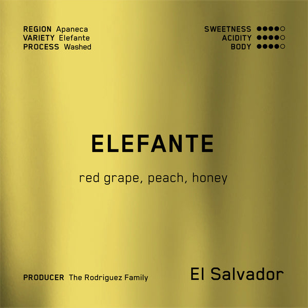 Elefante