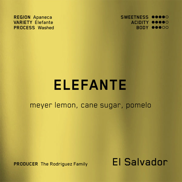 Elefante (WS)