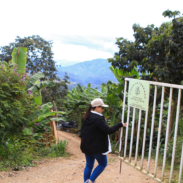 Juliana Guevara Java