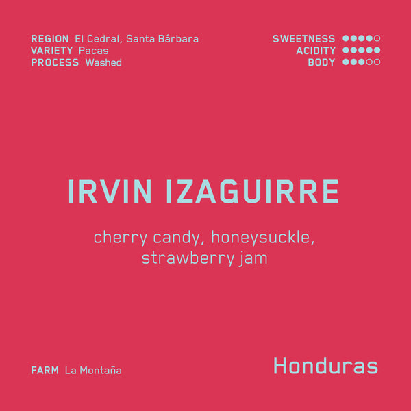 Irvin Izaguirre