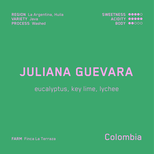 Juliana Guevara Java