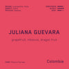 Juliana Guevara Sidra (WS)