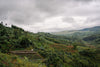 Gitwe