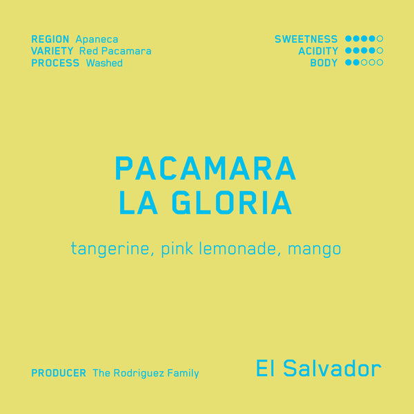 Pacamara La Gloria