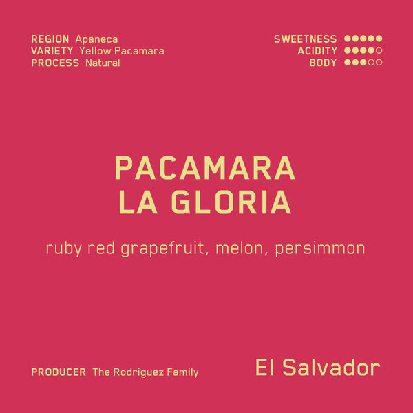 Natural Pacamara Nejapa (WS)