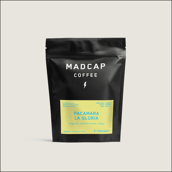 Pacamara La Gloria